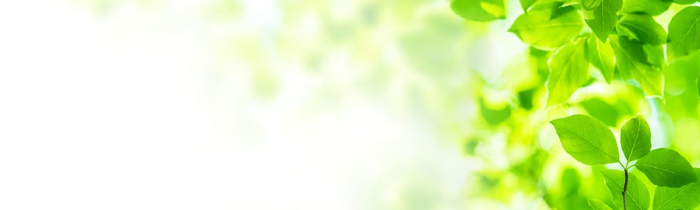 hTT|[g/ze\/DOKODENEL